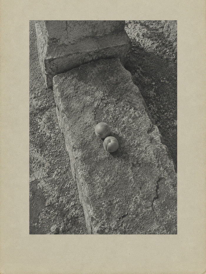 Sweet Coffin, the house’s card: two shells on a stone slab